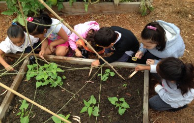 کلاس اول و دوم